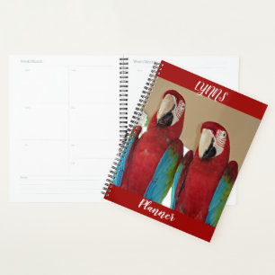 Scharlaken Ara Paar Tropisch Rood Lay-out Planner