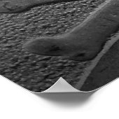 Scharnier- en kruisbeenderen poster (Hoek)