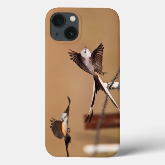 Scharnierende vliegers (Tyrannus Forficatus) Case-Mate iPhone Case (Achterkant)
