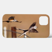 Scharnierende vliegers (Tyrannus Forficatus) Case-Mate iPhone Case (Achterkant (horizontaal))
