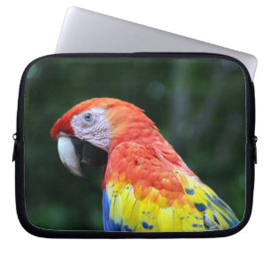 scharrelkop laptop sleeve
