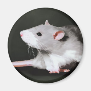 Scharrrelende rat schilderij magneet