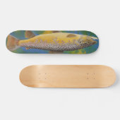 Schatbord van bruine forel skateboard (Horizontaal)