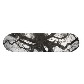 Schatbord voor eikenbomen skateboard