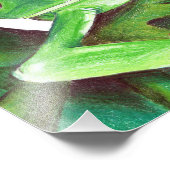 schatteboomkikker foto afdruk (Hoek)