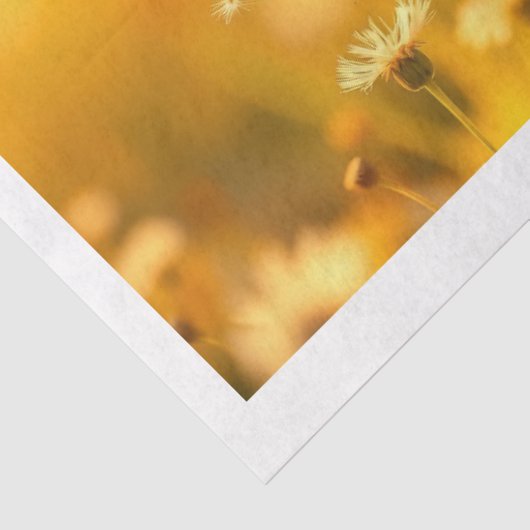 schatten tissuepapier (Detail)