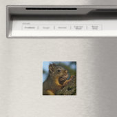 Schatten van een Chipmunk Magneet (Insitu (Vaatwasser))