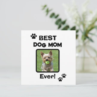 Schattig Aanpassen Beste Huisdier Hond Kat Moeder