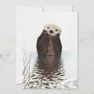 Schattig Aardig Donzig Otter Dier Kaart