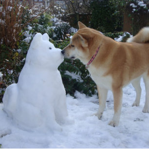 schattig akita kus snowman akita foto kerst vierkante sticker