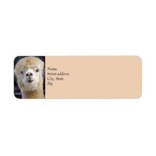 Schattig Alpaca-gezicht Etiket