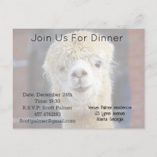 Schattig Alpaca-gezicht Uitnodiging Briefkaart