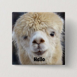 Schattig Alpaca-gezicht Vierkante Button 5,1 Cm
