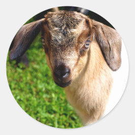 Schattig Baby Geitenvel van Stickers