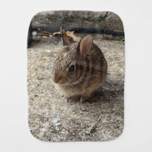 Schattig baby konijn