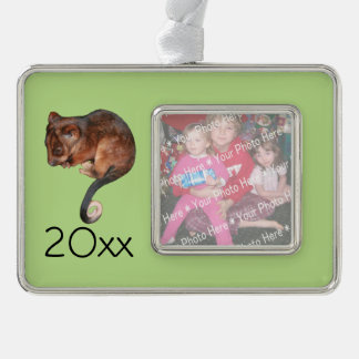 Schattig Baby Ringtail Possum in Australië Verzilverd Kader Ornament