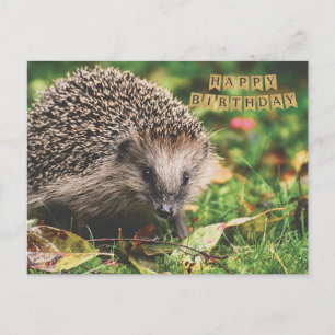 Schattig bos egel gelukkige verjaardag briefkaart