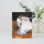 schattig Briefkaart (Staand voorkant)
