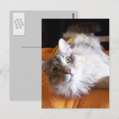 schattig Briefkaart (Voorkant / Achterkant)
