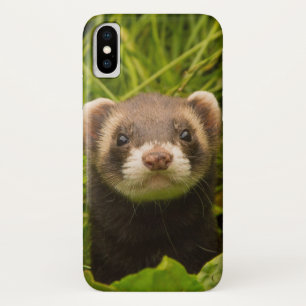 Schattig bruine fret in het gras iPhone x hoesje