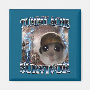 Schattig Buikpijn Overlevende Hamster Meme Magneet