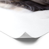 Schattig Calico Kitten Poster (Hoek)