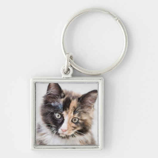 Schattig Calico Kitten Sleutelhanger (Voorkant)