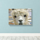 Schattig Canvas Afdruk (Insitu (Houten vloer))