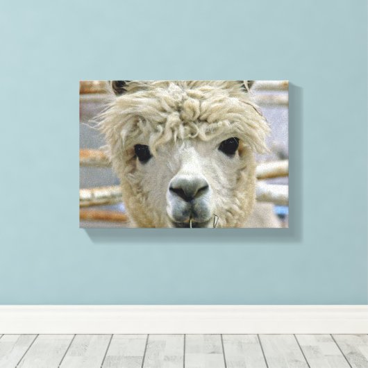 Schattig Canvas Afdruk (Insitu (Houten vloer))