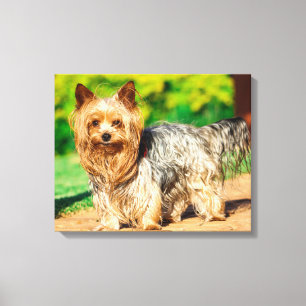 Schattig Canvas Afdruk