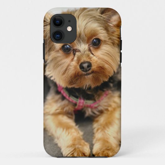 Schattig Case-Mate iPhone Case (Achterkant)