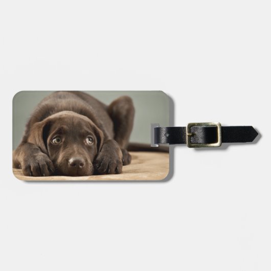 Schattig Chocolade Lab Puppy Design Bagagelabel (Voorkant horizontaal)
