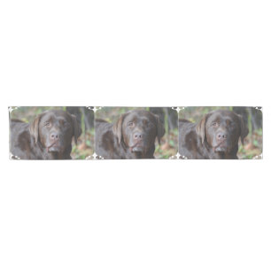 Schattig chocolade labrador Retriever Korte Tafelloper