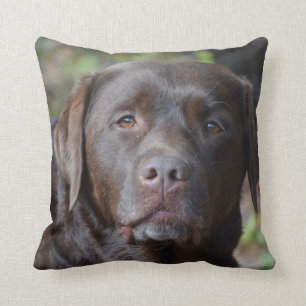 Schattig chocolade labrador Retriever Kussen
