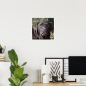Schattig chocolade labrador Retriever Poster (Thuiskantoor)