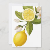 Schattig citrus Baby shower Kaart (Achterkant)