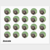 Schattig Cocker Spaniel Ronde Sticker (Vel)