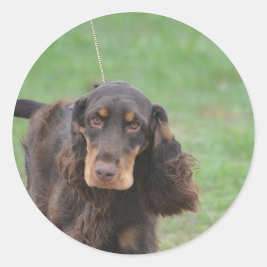 Schattig Cocker Spaniel Ronde Sticker (Voorkant)