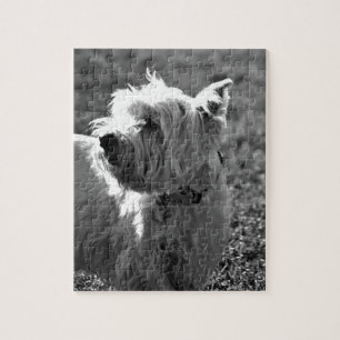Schattig Collectie Westie Terrier Legpuzzel