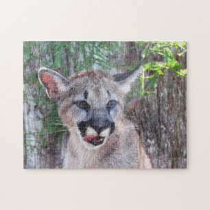 Schattig Cub - Florida Panther / Cougar / Puma Legpuzzel