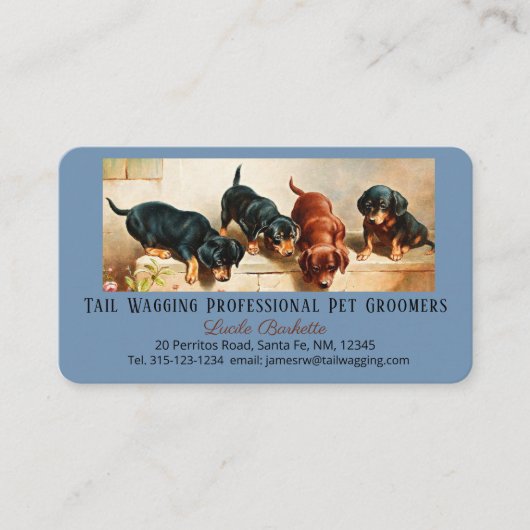 Schattig Cute Dachshund Puppy Pet Grooming Blue Visitekaartje (Voorkant)
