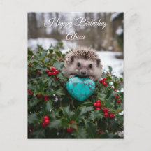 Schattig december egeltje met turquoise hart