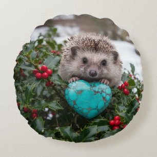 Schattig december egeltje met turquoise hart rond kussen