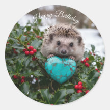 Schattig december egeltje met turquoise hart