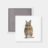 Schattig deeg magneet (Voorkant / Achterkant)