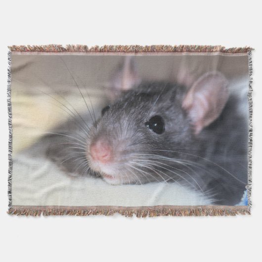 Schattig Deken (Voorkant)