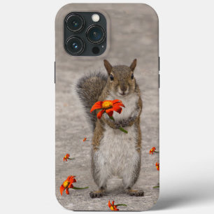 Schattig dier eekhoorn met rode zonnebloem Tithoni iPhone 13 Pro Max Hoesje
