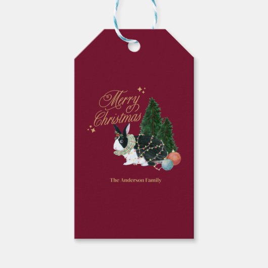 schattig dier kerstman cadeaulabel (Voorkant)