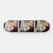 Schattig dier Rode Panda Skateboard (Horizontaal)