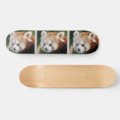 Schattig dier Rode Panda Skateboard (Horizontaal)